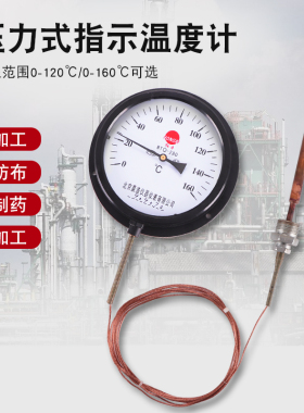 WTQ WTZ-280压力式温度计 锅炉温度计 远传热水温度计  Y150
