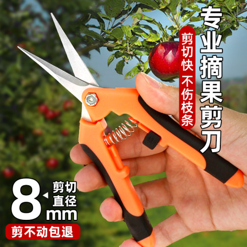 园艺剪刀修枝剪树枝专用剪刀园林修剪果树省力修枝花艺修花剪工具