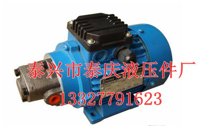 微型机组RHB-1JZ -1.6JZ-2.5JZ 三角摆线齿轮油泵 小型电机组润滑