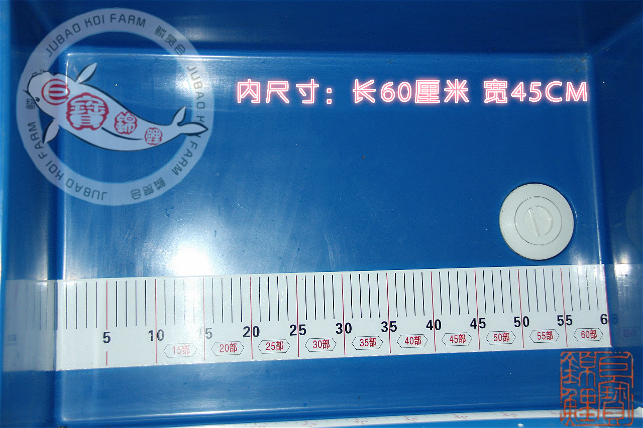 包邮锦鲤尺盆 迷你尺盆送量尺 内长60CM宽45CM 高35CM,带排水盖