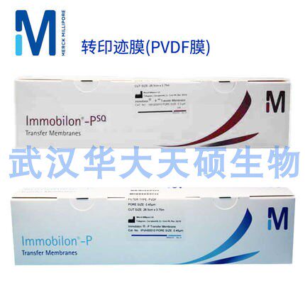 密理博Millipore PVDF膜IPVH00010硝酸纤维素转印膜NC膜HATF00010