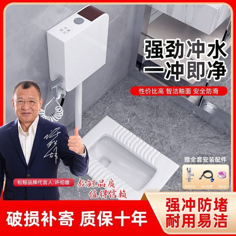 德国进口大冲力厕所蹲坑陶瓷蹲便器家用水箱套装蹲厕蹲坑便池防臭