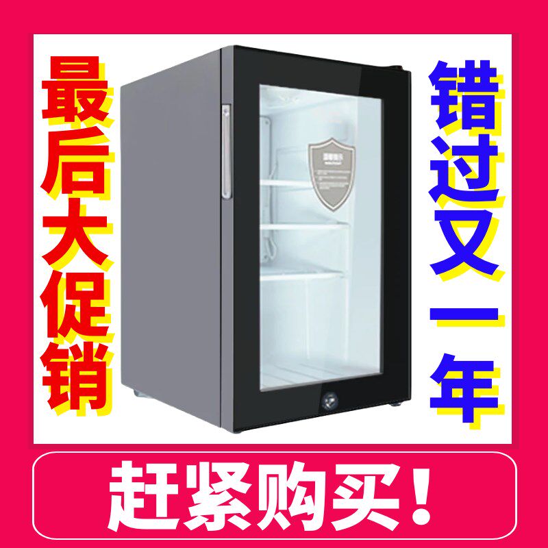 幼儿园食品留样柜食堂小型饮料冷藏柜保鲜展示柜酒店客房冰箱带锁