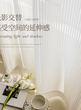 宜寝窗帘竖百叶纱帘透光不透人梦幻帘客厅卧室飘窗白色沙高端窗纱