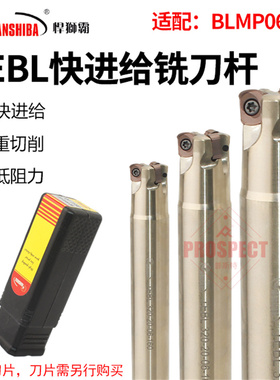 悍狮霸快进给铣刀杆TEBL高进给铣刀盘特固克通装双面铣刀片BLMP06