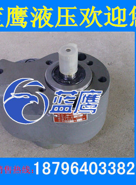 CB-B16TH CB-B20TH CB-B25TH CB-B32TH齿轮油泵机磨床液压泵 FTH