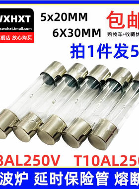 格兰仕美的微波炉专用 延时保险管 T8AL250V T10AL250V 6*30 5*20