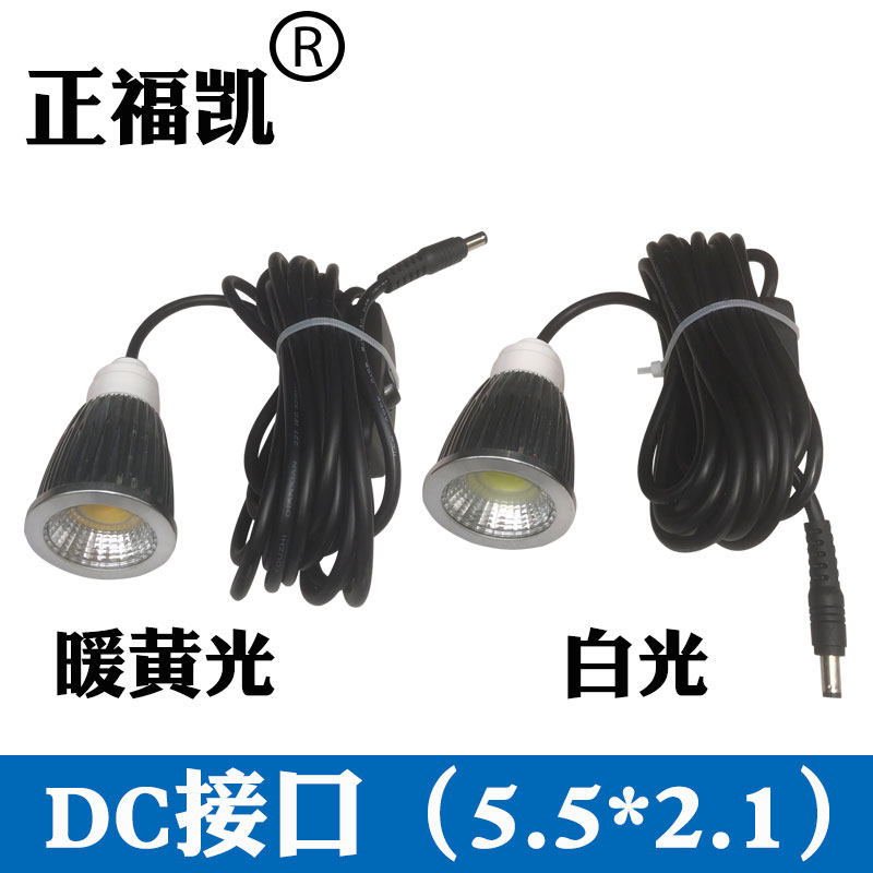 正福凯12V下水灯水陆两用LED防水12V水下强光灯水下灯诱鱼潜水灯
