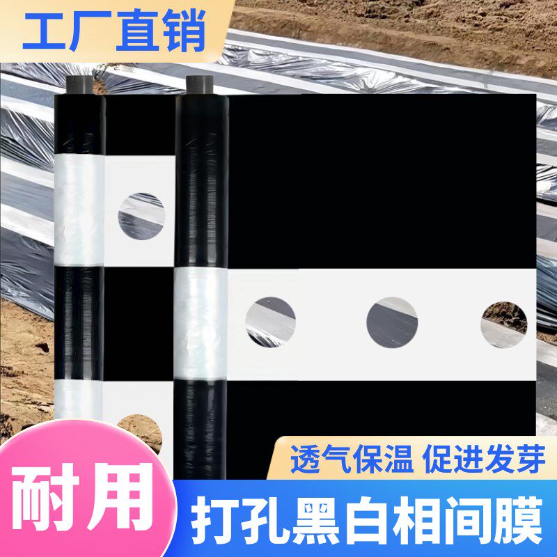 免打孔农用黑地膜双白单白双色黑白地膜除草地膜S塑料薄膜保温带