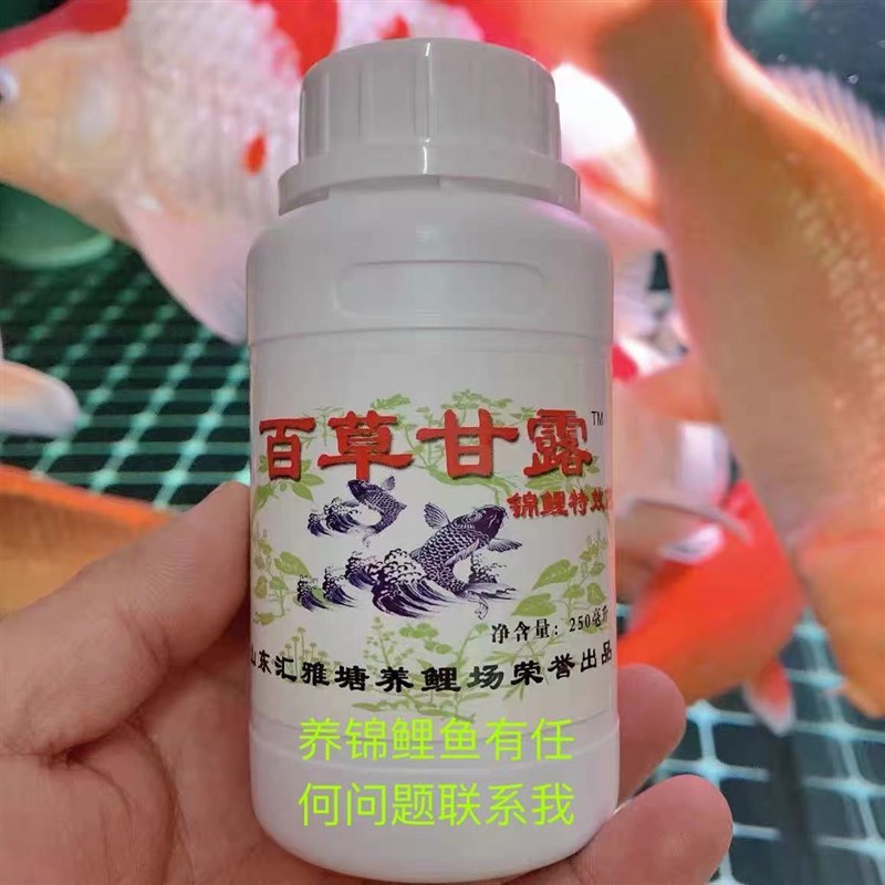 百草甘露锦鲤鱼药细菌交叉感染烂腮烂肉烂鳍烂尾立鳞充血趴底杀菌