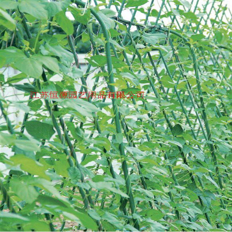园艺支架支柱U型支架拱型花架番茄黄瓜大棚架子攀援植物爬藤支架