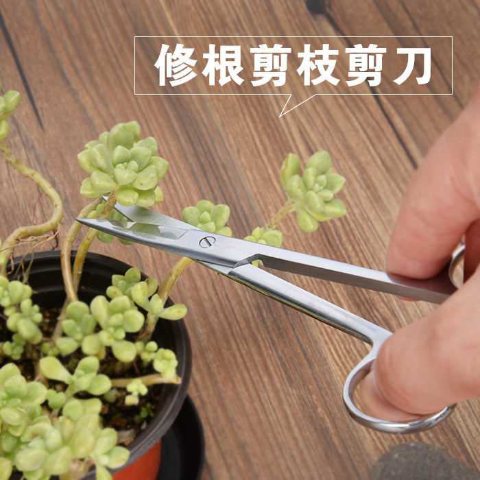 逸家花园多肉砍头扦插修根造型剪子园艺花卉绿植修枝不锈钢剪刀