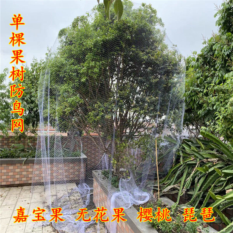 果树防鸟网罩水果嘉宝果葡萄樱桃无花果枇杷单棵专用遮树网神器