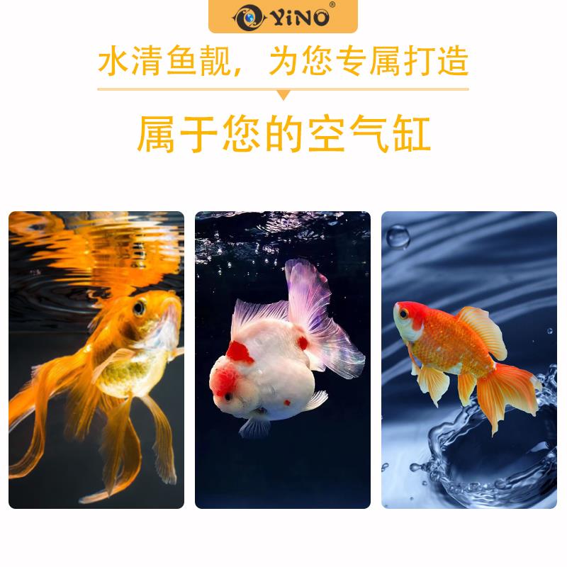 壹诺金鱼锦鲤专用硝化细菌鱼缸用净水剂除藻水混水黄腥臭消化细菌