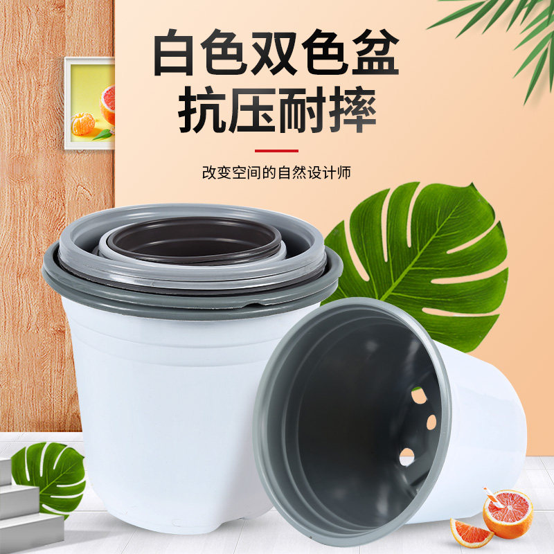 双色育苗盆白色一次性花盆塑料摔不坏加厚营养钵育苗杯多肉种植盆