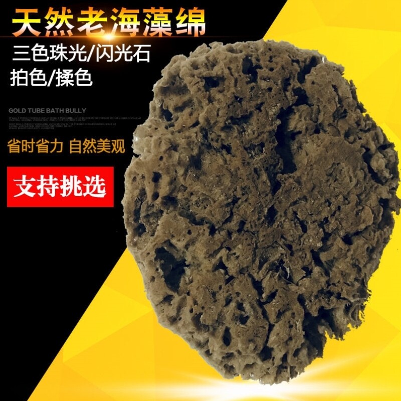 优选天然老海藻绵希腊进口海绵三色珠光艺术漆涂刷工具老根海藻棉