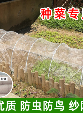 种菜专用防虫网大棚蔬菜防鸟网纱菜地防鸟用网果树樱桃防虫防鸟罩