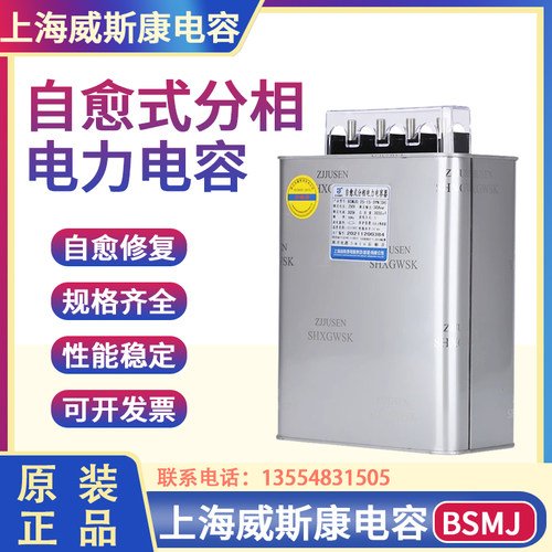 上海威斯康分相自愈式电力电容器BSMJ0.25-15-3YN10 20-1单相分补
