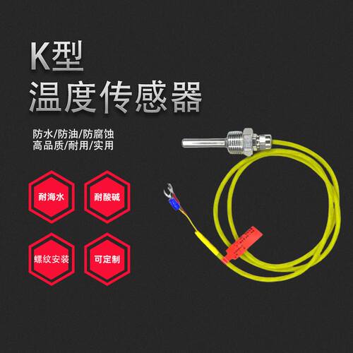 热电偶K热电阻PT100温度感测器防水测温监视器固定螺纹安装型赶温