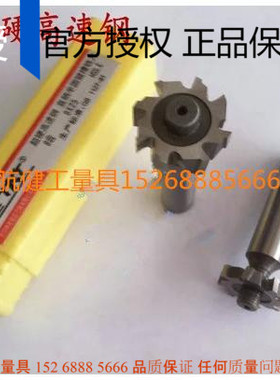 贵阳特克TKT超硬高速钢直柄半圆键铣刀T型刀10 16 19 22 25 28