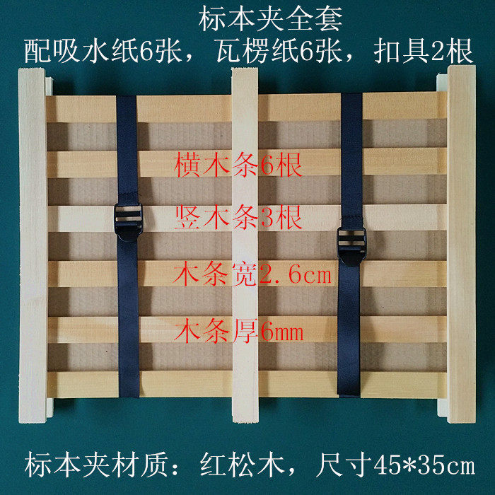 植物标本夹45*35cm配吸水纸瓦楞纸全套 树叶夹 生物教学仪器