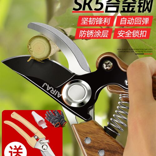 剪枝剪刀果树修枝剪园艺园林修剪树枝剪刀花剪花艺枝剪专用工具