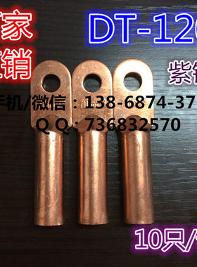 铜鼻子 线鼻子 电缆铜接线端子 铜管鼻 DT-120平方 单只价格