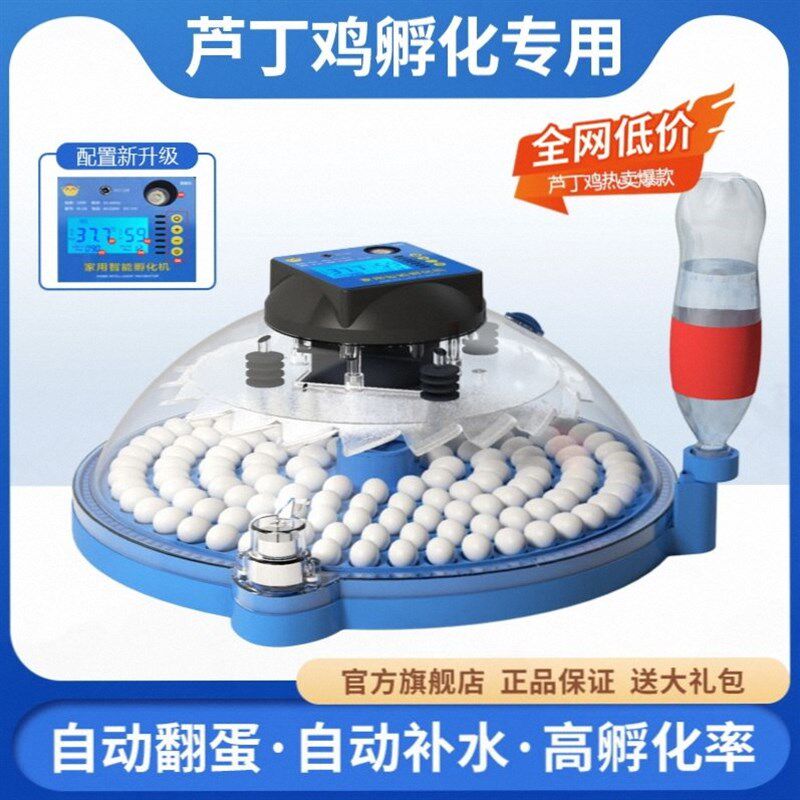 秦宽自动孵蛋器孵化箱小型家用智能全芦丁鸡鹦鹉鸟蛋小鸡孵化器