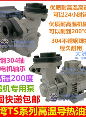 TS-63/71台湾款热油泵模温机热油循环泵耐高温200C油泵导热油泵