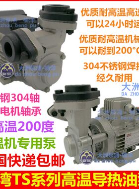 TS-63/71台湾款热油泵模温机热油循环泵耐高温200C油泵导热油泵