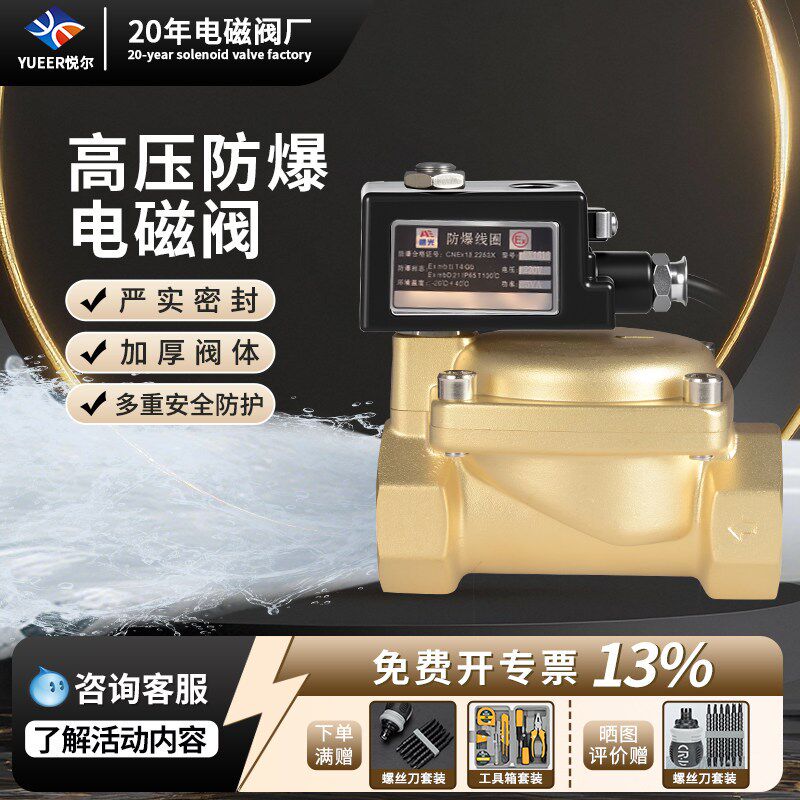 黄铜防爆高压电磁阀矿用管道控制开关阀门先导式水阀气阀220V24V