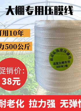 大棚压膜绳配件加厚防晒绳子耐磨涤纶压膜带扁带抗老化压膜线包邮