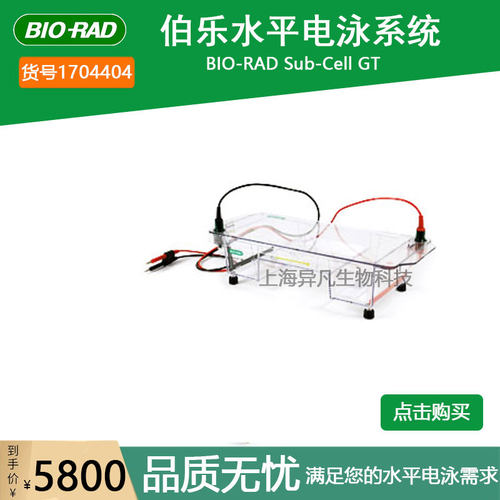 美国伯乐Sub-Cell GT1704406多功能水平电泳槽15 x 25cm 1704404