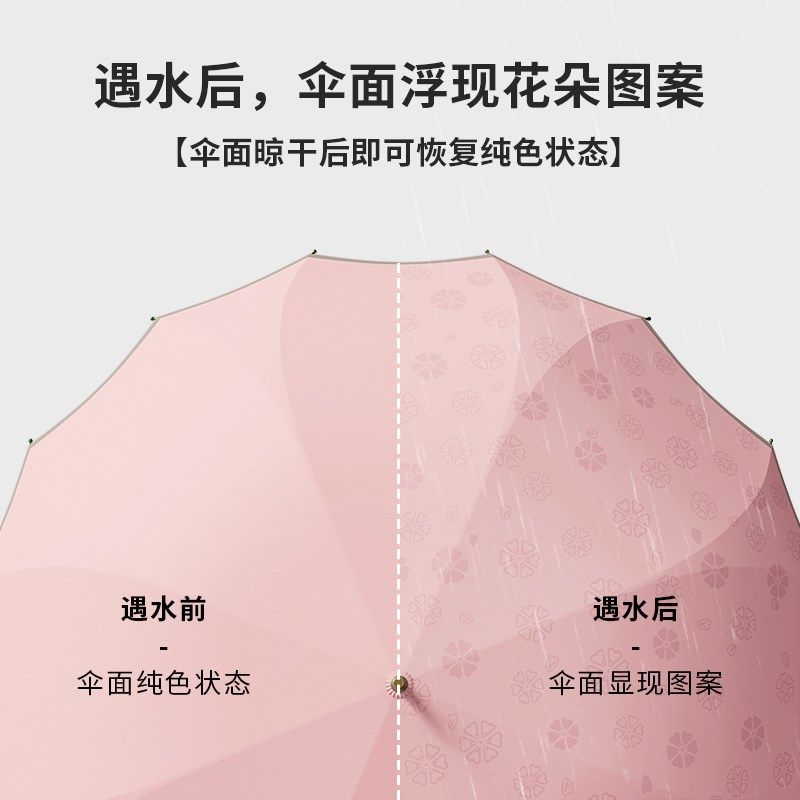 16骨轻量版一片式遇水开花长柄雨伞女自动双人大号抗风暴雨高颜值