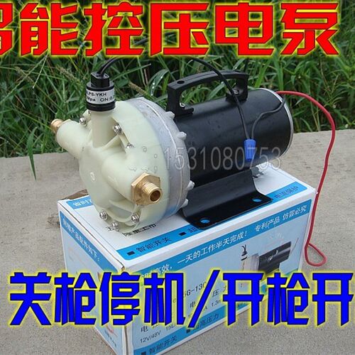 12V/24V/48V超高压迷你洗车泵/直流大功率洗车器水泵控压隔膜泵