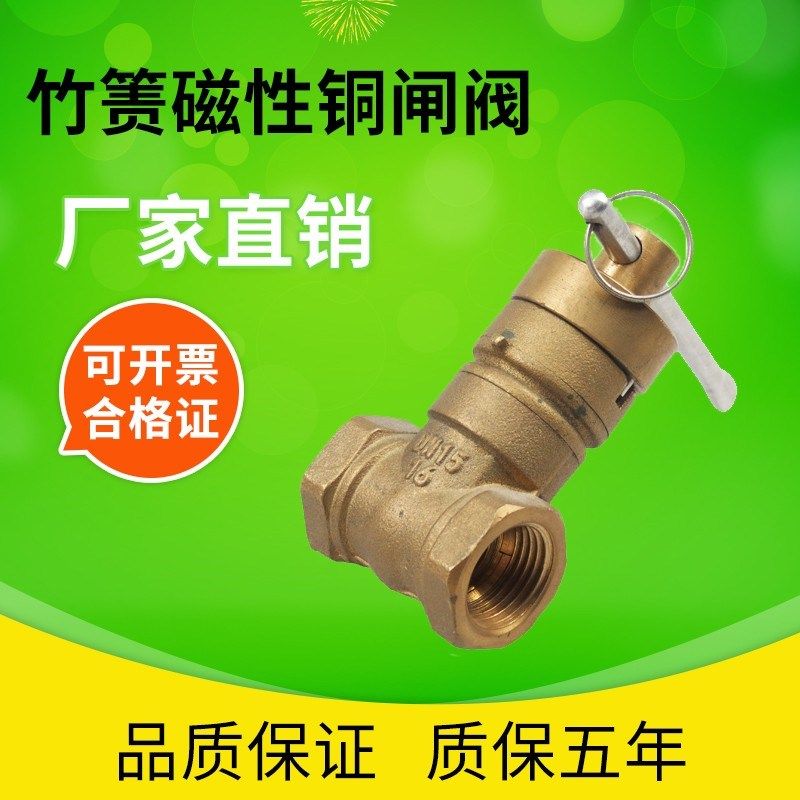 竹箦闸阀开关磁性锁闭家用水防盗丝扣黄铜阀门表前加密6分4分dn15