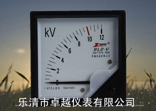 6L2-V 0-12KV 10/0.1KV 限时厂家直销优质指针交流高压电压表