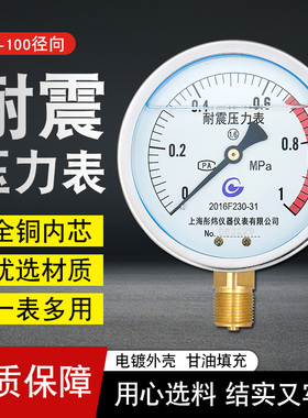 抗震压力表Y100充油耐震水压表真空气压表工业消防径向地暖压力表