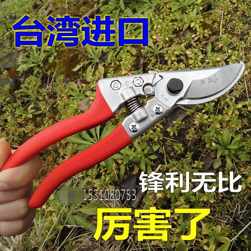 台湾进口农友刘盛园艺剪刀修枝剪粗枝剪花剪树枝剪果树剪采果剪