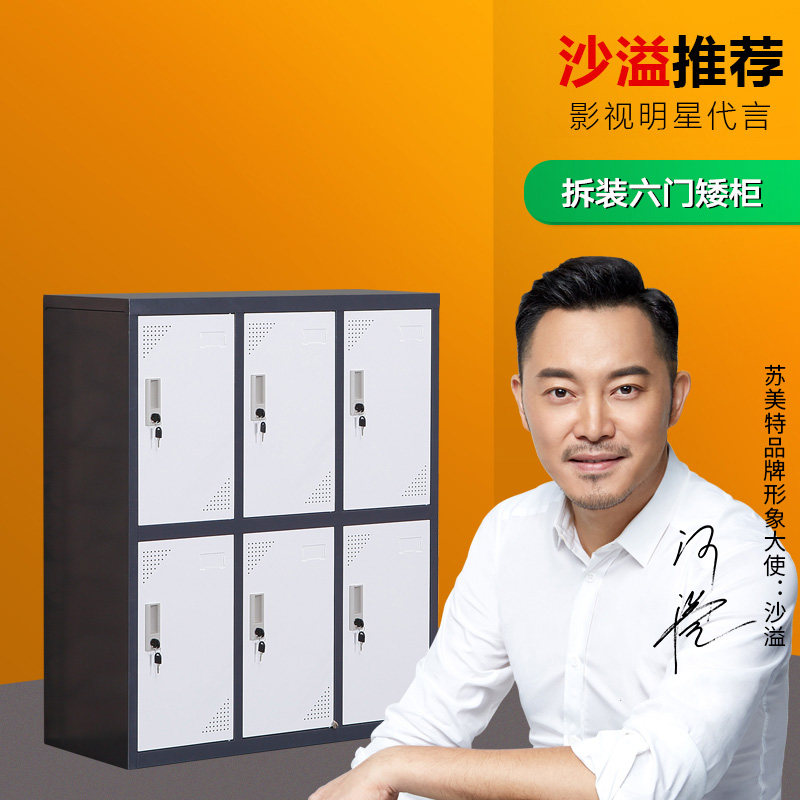 苏州包邮小六门拆装套色柜矮柜钢制更衣柜家用员工宿舍储物存包柜