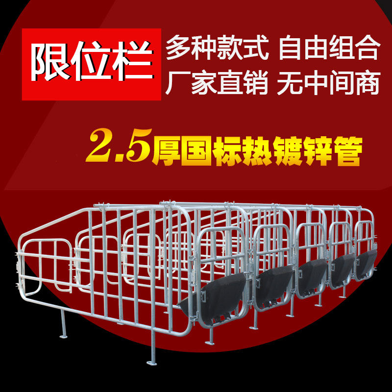 母猪用限位栏定位栏国标2.5厚2.7限位栏10母猪位养猪栏舍设备配件
