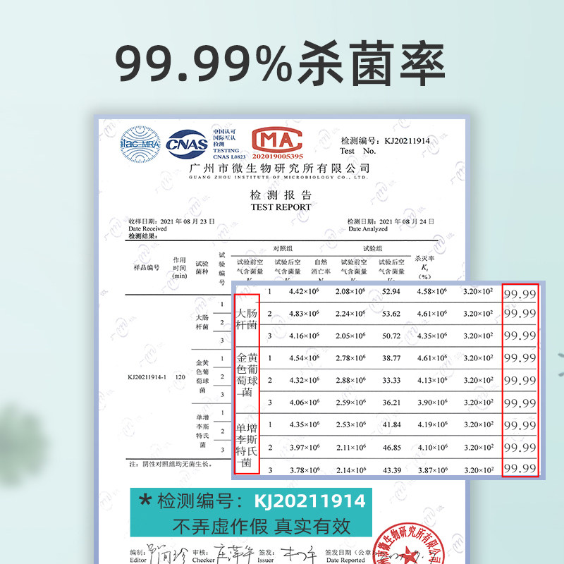 汽车除味除甲醛神器旅行家用多功能杀菌消毒机车载空气净化器
