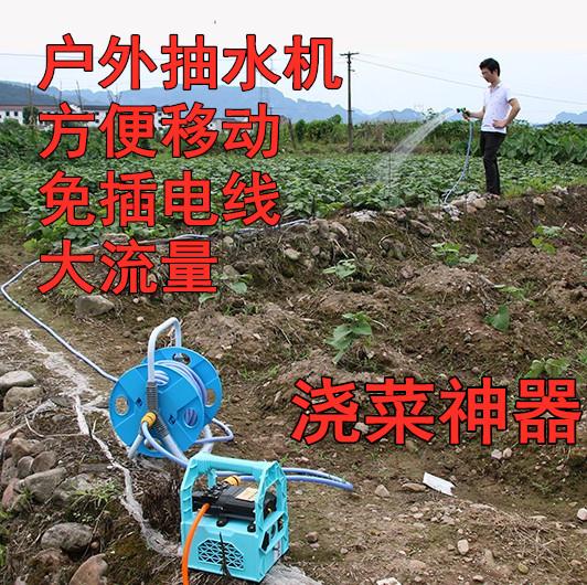 农村菜地浇水神器带管打药机浇菜抽水泵喷雾器洒水电瓶洗车洗车机