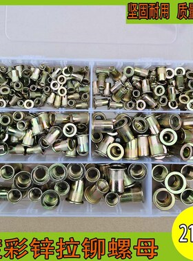 210pcs 家具铆螺母M4/5/6/8/10/12组合 彩锌拉铆螺母