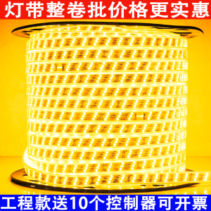 灯带led户外防水2835工程照明家装吊顶光源工地养殖园林亮化220v