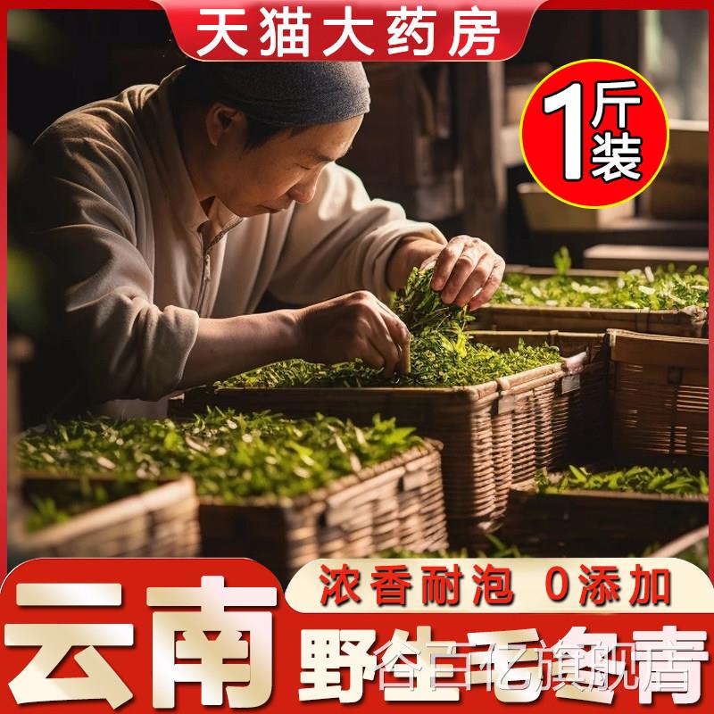 云南毛冬青1斤绿茶新鲜500g级特精选茶叶cc谷百亿旗舰店