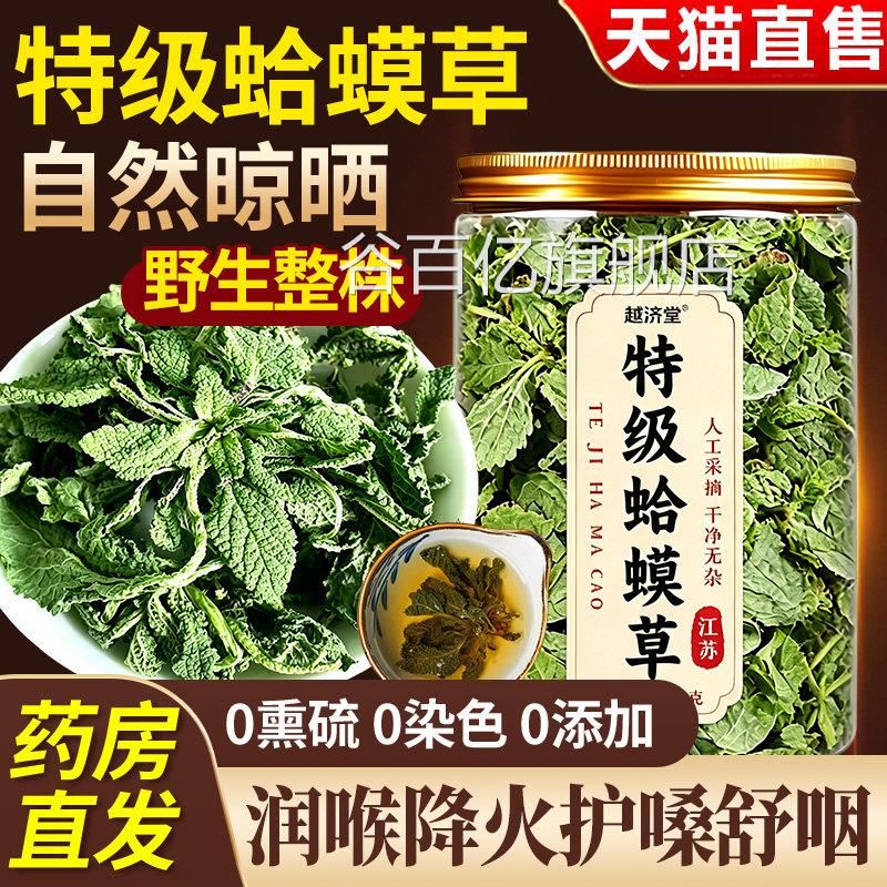 特级有蛤蟆草野生新鲜癞蛤蟆草中药材蛤蟆草什么功效整颗官方正品