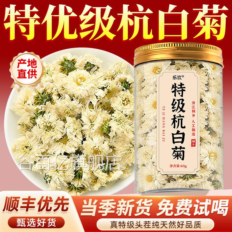 特级菊正宗桐乡特产新鲜杭白胎菊2025新货菊花茶正品官方旗舰店zz
