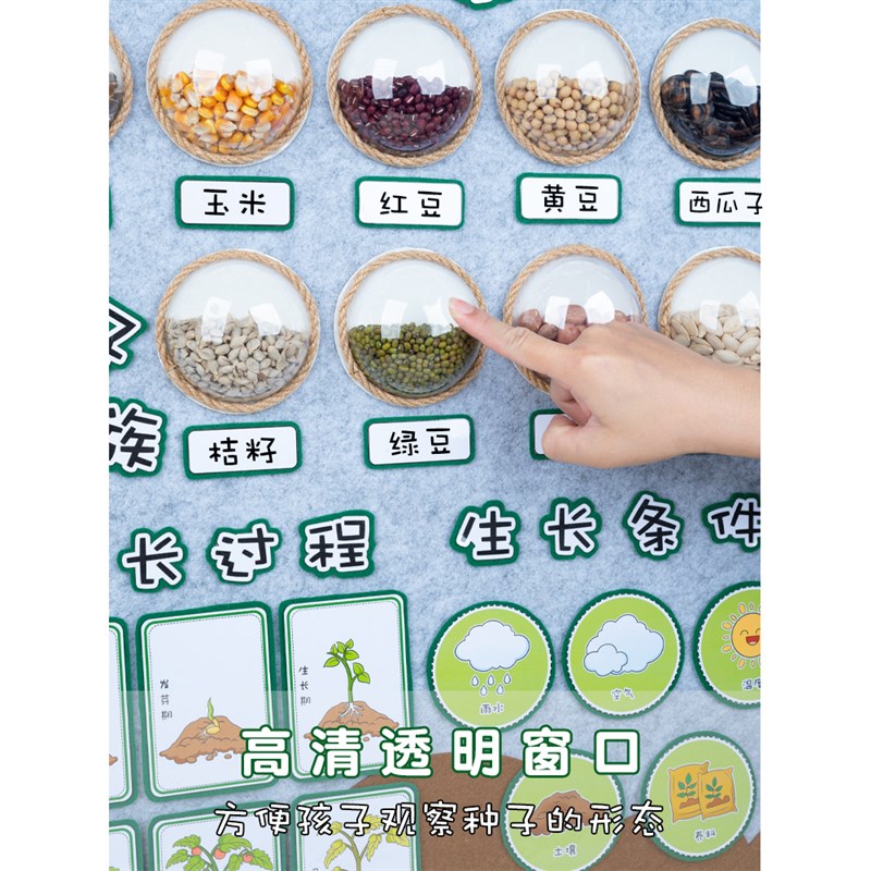 幼儿园环创主题墙面装饰植物角场景布置材料美工区小学教室
