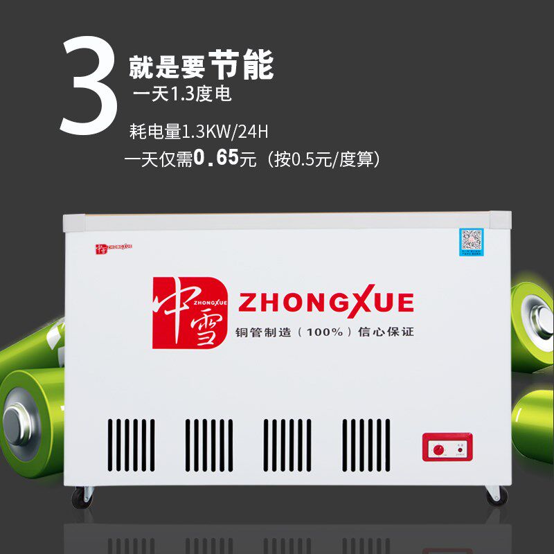中雪水柜商用卧式冷柜双门玻璃门冰柜保鲜冰箱铜管展示柜冷藏装水